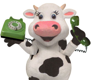 mascot & character costume